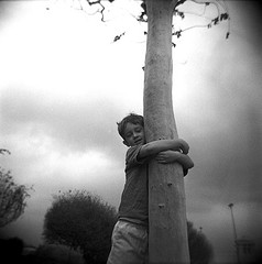 http://kamallarosekaur.files.wordpress.com/2008/06/tree-hugger1.jpg
